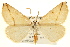  ( - BIOUG02041-F08)  @15 [ ] CreativeCommons - Attribution (2012) CBG Photography Group Centre for Biodiversity Genomics