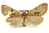  ( - BIOUG02041-H08)  @13 [ ] CreativeCommons - Attribution (2012) CBG Photography Group Centre for Biodiversity Genomics