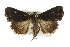  ( - BIOUG02042-B01)  @14 [ ] CreativeCommons - Attribution (2012) CBG Photography Group Centre for Biodiversity Genomics