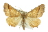  ( - BIOUG02042-C07)  @14 [ ] CreativeCommons - Attribution (2012) CBG Photography Group Centre for Biodiversity Genomics