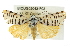  ( - BIOUG02042-F02)  @14 [ ] CreativeCommons - Attribution (2012) CBG Photography Group Centre for Biodiversity Genomics