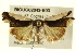  ( - BIOUG02043-B03)  @14 [ ] CreativeCommons - Attribution (2012) CBG Photography Group Centre for Biodiversity Genomics