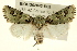  ( - BIOUG02043-B05)  @14 [ ] CreativeCommons - Attribution (2012) CBG Photography Group Centre for Biodiversity Genomics