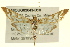  ( - BIOUG02043-B10)  @13 [ ] CreativeCommons - Attribution (2012) CBG Photography Group Centre for Biodiversity Genomics