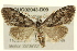  ( - BIOUG02043-D09)  @15 [ ] CreativeCommons - Attribution (2012) CBG Photography Group Centre for Biodiversity Genomics