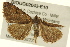  ( - BIOUG02043-E10)  @13 [ ] CreativeCommons - Attribution (2012) CBG Photography Group Centre for Biodiversity Genomics