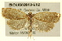  ( - BIOUG02043-E12)  @13 [ ] CreativeCommons - Attribution (2012) CBG Photography Group Centre for Biodiversity Genomics