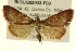  ( - BIOUG02043-F03)  @13 [ ] CreativeCommons - Attribution (2012) CBG Photography Group Centre for Biodiversity Genomics