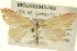  ( - BIOUG02043-F04)  @14 [ ] CreativeCommons - Attribution (2012) CBG Photography Group Centre for Biodiversity Genomics