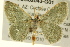 ( - BIOUG02043-G01)  @14 [ ] CreativeCommons - Attribution (2012) CBG Photography Group Centre for Biodiversity Genomics