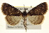  ( - BIOUG02043-H09)  @14 [ ] CreativeCommons - Attribution (2012) CBG Photography Group Centre for Biodiversity Genomics