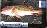  ( - AHL-1)  @11 [ ] No Rights Reserved (2009) Unspecified Coastal Marine Biolabs
