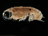  ( - MBI-SCCWRP-00136)  @11 [ ] CreativeCommons - Attribution Non-Commercial (2011) Southern California Coastal Water Research Southern California Coastal Water Research
