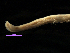  ( - MBI-SCCWRP-00252)  @12 [ ] CreativeCommons - Attribution Non-Commercial (2011) Southern California Coastal Water Research Southern California Coastal Water Research