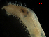  ( - MBI-SCCWRP-00512)  @13 [ ] CreativeCommons - Attribution Non-Commercial (2012) Southern California Coastal Water Research Southern California Coastal Water Research