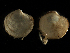  ( - MBI-SCCWRP-00519)  @12 [ ] CreativeCommons - Attribution Non-Commercial (2012) Southern California Coastal Water Research Southern California Coastal Water Research