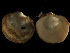  ( - MBI-SCCWRP-00521)  @12 [ ] CreativeCommons - Attribution Non-Commercial (2012) Southern California Coastal Water Research Southern California Coastal Water Research