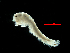  ( - MBI-SCCWRP-00608)  @11 [ ] CreativeCommons - Attribution Non-Commercial (2012) Southern California Coastal Water Research Southern California Coastal Water Research