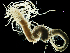  ( - MBI-SCCWRP-00649)  @11 [ ] CreativeCommons - Attribution Non-Commercial (2013) Southern California Coastal Water Research Project Southern California Coastal Water Research