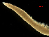  ( - MBI-SCCWRP-00675)  @11 [ ] CreativeCommons - Attribution Non-Commercial (2013) Southern California Coastal Water Research Project Southern California Coastal Water Research