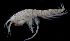  (Idunella goleta - MBI-SCCWRP-00056)  @13 [ ] CreativeCommons - Attribution Non-Commercial Share-Alike (2010) R. Martinez Lara City of San Diego