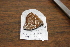  ( - FLMNH-05033)  @12 [ ] CreativeCommons - Attribution Non-Commercial Share-Alike (2011) Fernando M. S. Dias McGuire Center for Lepidoptera and Biodiversity - UF