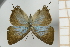  ( - AMC313)  @11 [ ] c (2024) Diego Dolibaina UFPR