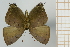  ( - AMC329)  @11 [ ] c (2024) Diego Dolibaina UFPR