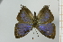  ( - AMC330)  @11 [ ] c (2024) Diego Dolibaina UFPR