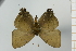  ( - AMC330)  @11 [ ] c (2024) Diego Dolibaina UFPR