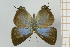 ( - AMC338)  @11 [ ] c (2024) Diego Dolibaina UFPR
