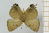  ( - AMC338)  @11 [ ] c (2024) Diego Dolibaina UFPR