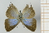  ( - AMC339)  @11 [ ] c (2024) Diego Dolibaina UFPR