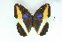  ( - BC-CGCM-7.561)  @14 [ ] Copyright (2010) Unspecified Research Collection of Carlos Mielke