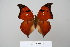  ( - BC-DZ-15.568)  @14 [ ] Copyright (2010) Unspecified Universidade Federal do Parana