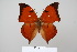  ( - BC-DZ-15.582)  @14 [ ] Copyright (2010) Unspecified Universidade Federal do Parana