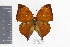  ( - DZ9611)  @13 [ ] CreativeCommons - Attribution Non-Commercial Share-Alike (2010) Fernando M. S. Dias UFPR