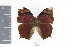  ( - DZ20361)  @11 [ ] CreativeCommons - Attribution Non-Commercial Share-Alike (2010) Fernando M. S. Dias UFPR
