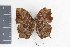  ( - DZ20361)  @11 [ ] CreativeCommons - Attribution Non-Commercial Share-Alike (2010) Fernando M. S. Dias UFPR