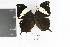  ( - DZ20553)  @13 [ ] CreativeCommons - Attribution Non-Commercial Share-Alike (2010) Fernando M. S. Dias Universidade Federal do Parana