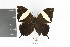 ( - DZ19152)  @13 [ ] CreativeCommons - Attribution Non-Commercial Share-Alike (2010) Fernando M. S. Dias Universidade Federal do Parana