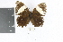  ( - DZ18741)  @11 [ ] CreativeCommons - Attribution Non-Commercial Share-Alike (2010) Fernando M. S. Dias Universidade Federal do Parana