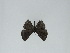  ( - DRD836)  @11 [ ] c (2024) Diego Dolibaina UFPR