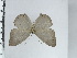  ( - DZ28.339)  @11 [ ] c (2024) Diego Dolibaina UFPR