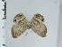  ( - DZ35.094)  @11 [ ] c (2024) Diego Dolibaina UFPR
