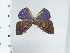  ( - DZ43.560)  @11 [ ] c (2024) Diego Dolibaina UFPR