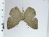  ( - DZ44.182)  @11 [ ] c (2024) Diego Dolibaina UFPR