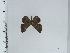  (Dachetola - DZ66.910)  @11 [ ] c (2024) Diego Dolibaina UFPR