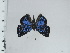  ( - DZ66.934)  @11 [ ] c (2024) Diego Dolibaina UFPR