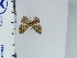  ( - DZ67.004)  @11 [ ] c (2024) Diego Dolibaina UFPR